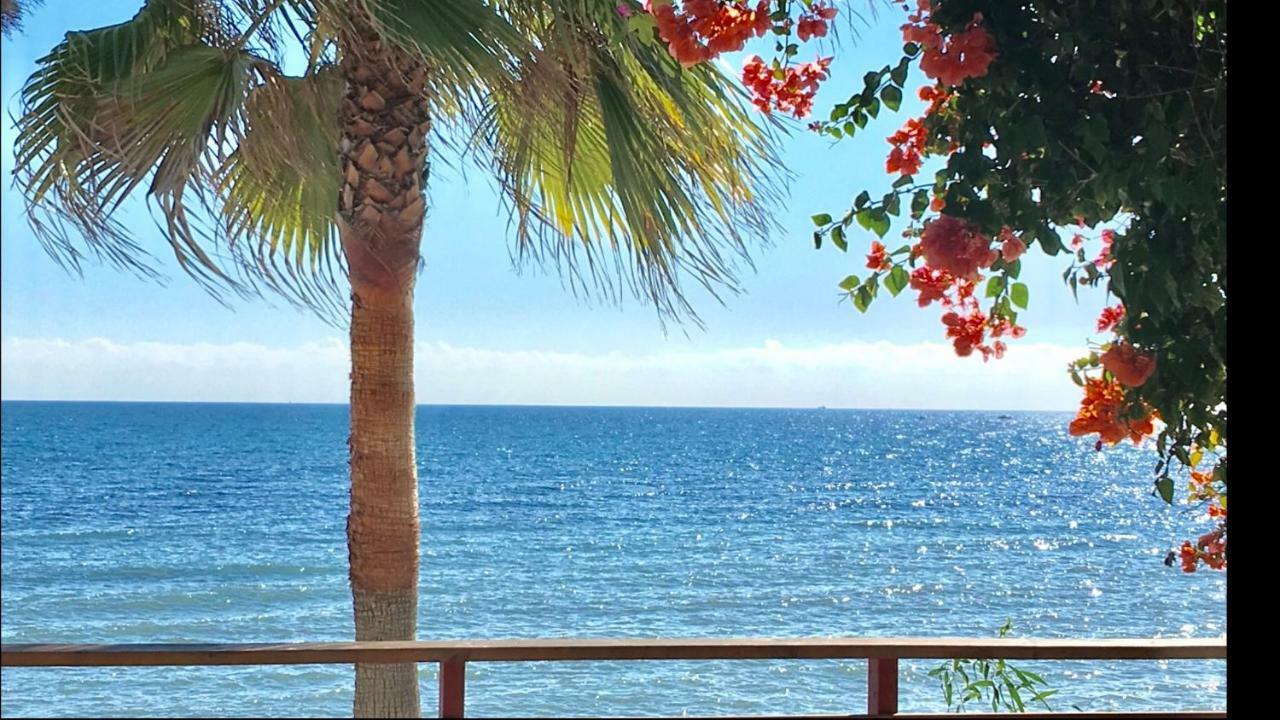 Mi Capricho 2B1 Beachfront Complex-Apartment Beachside With Sea Views Sitio de Calahonda Exterior foto